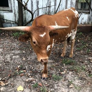 Meet your Posher, Erika